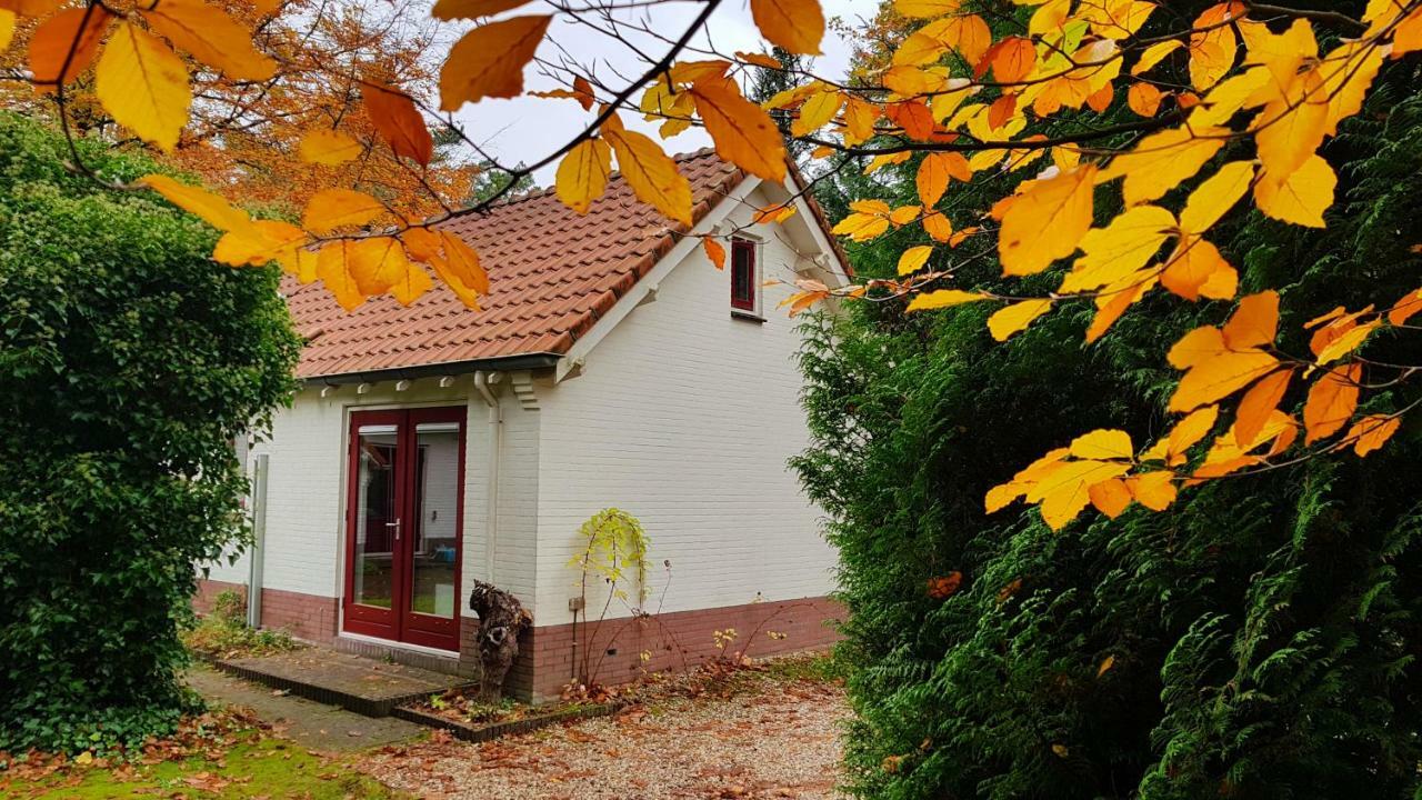 Dennenhuis Vaassen Eksteriør billede